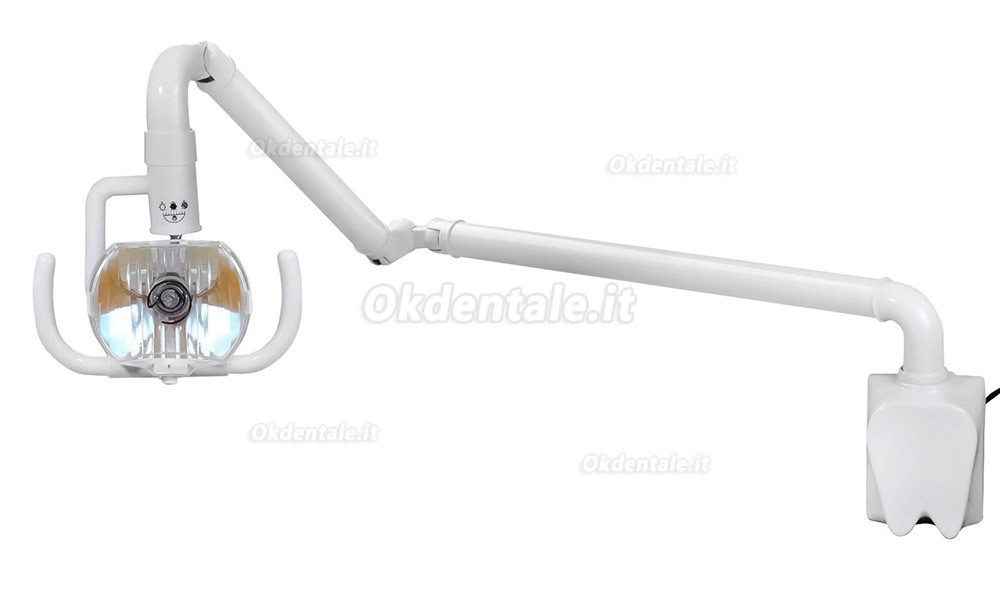 Lampada dentale orale da 50 W, lampade diagnostiche, a parete, a luce fredda